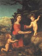 BUGIARDINI, Giuliano Madonna and Child with hte Young St.john t he Baptist oil painting on canvas